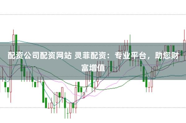 配资公司配资网站 灵菲配资：专业平台，助您财富增值