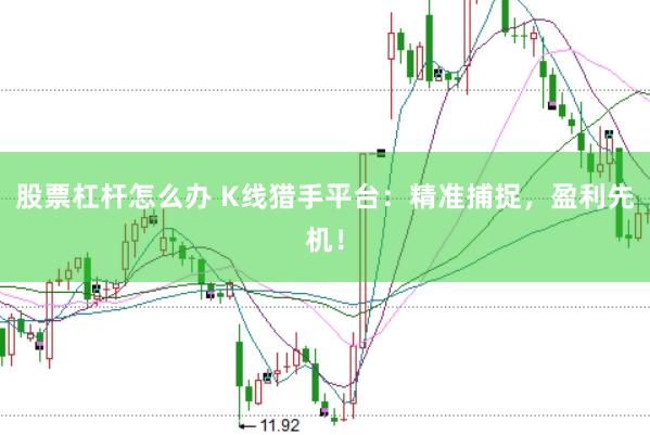 股票杠杆怎么办 K线猎手平台：精准捕捉，盈利先机！