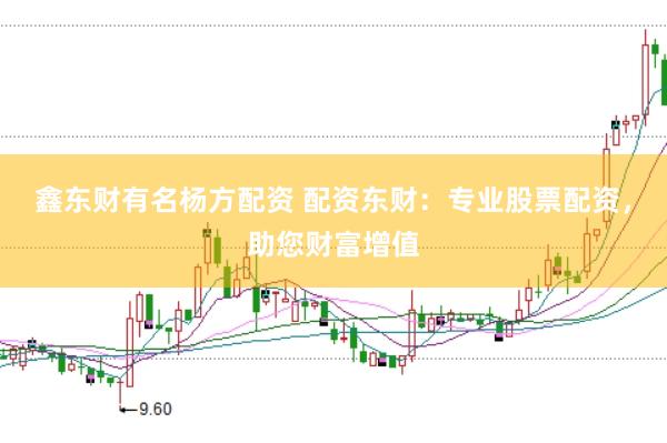 鑫东财有名杨方配资 配资东财：专业股票配资，助您财富增值