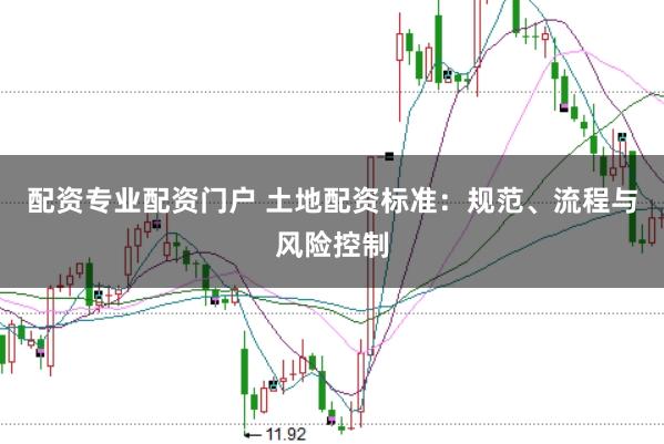 配资专业配资门户 土地配资标准：规范、流程与风险控制
