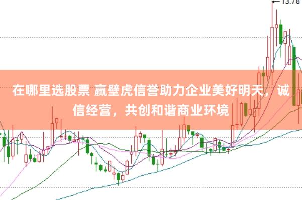 在哪里选股票 赢壁虎信誉助力企业美好明天，诚信经营，共创和谐商业环境