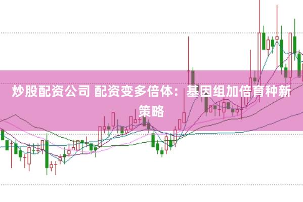 炒股配资公司 配资变多倍体：基因组加倍育种新策略