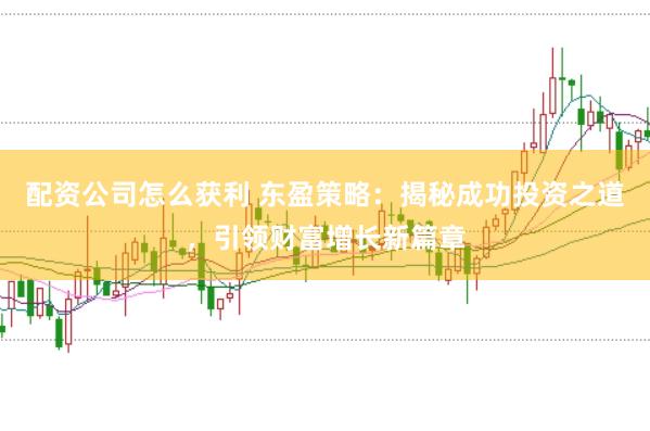 配资公司怎么获利 东盈策略：揭秘成功投资之道，引领财富增长新篇章
