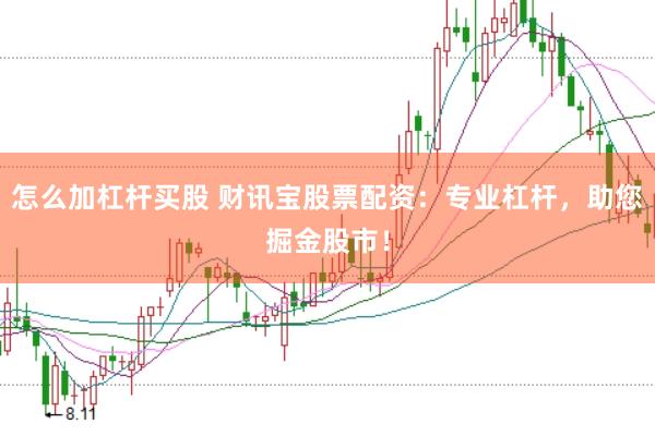 怎么加杠杆买股 财讯宝股票配资：专业杠杆，助您掘金股市！