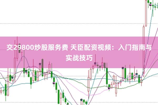 交29800炒股服务费 天臣配资视频：入门指南与实战技巧
