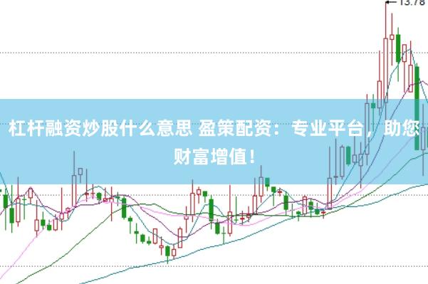 杠杆融资炒股什么意思 盈策配资：专业平台，助您财富增值！