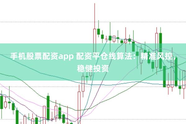 手机股票配资app 配资平仓线算法：精准风控，稳健投资