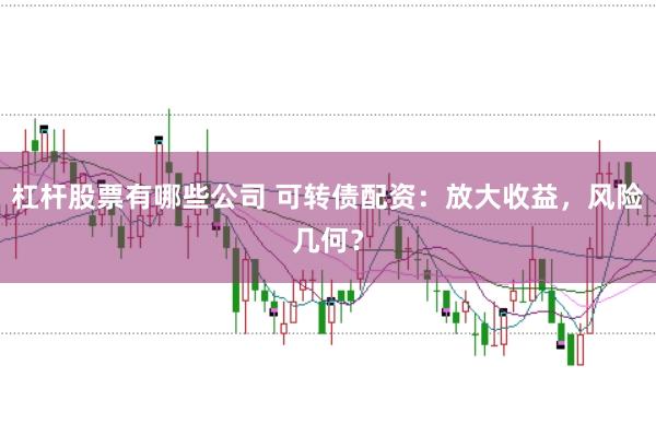 杠杆股票有哪些公司 可转债配资：放大收益，风险几何？