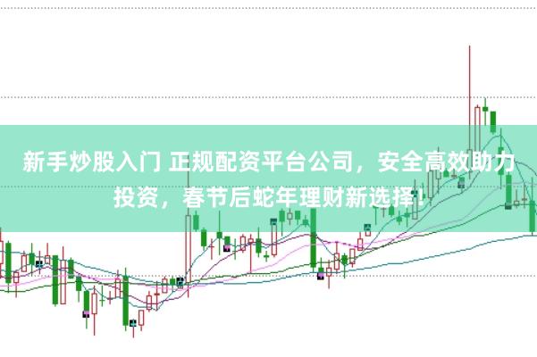 新手炒股入门 正规配资平台公司，安全高效助力投资，春节后蛇年理财新选择！